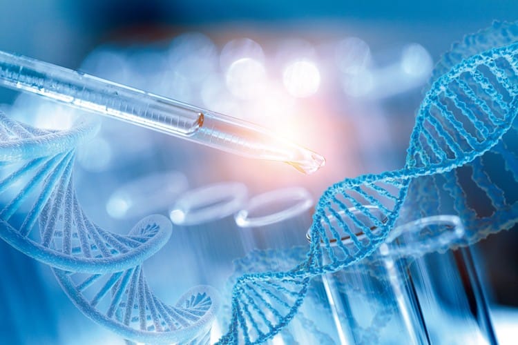 La Orquesta Sinfónica de Vermont regresa a Evergreen College